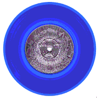 7"